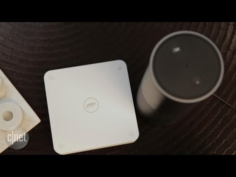 Better together: Alexa and Scout give DIY security a voice