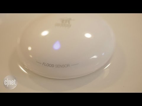 No need to take a rain check on the Fibaro Flood Sensor