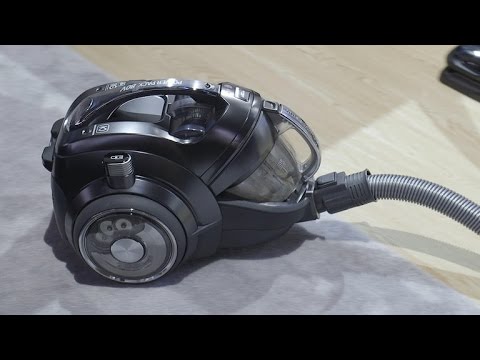 This cordless vacuum's got your back